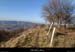 20150208_104