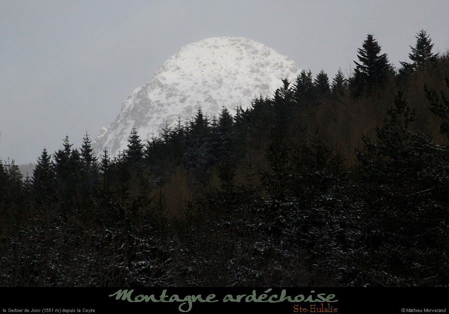 20100130_gerbierdejoncdepuislaceyte2