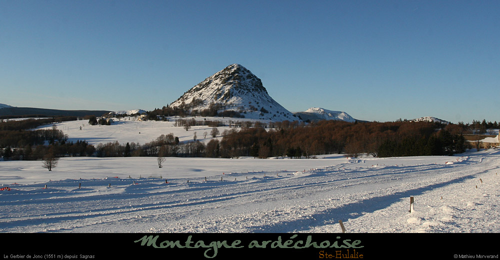 20100131_gerbierdejoncdepuissagnas1