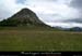 20120620_steulalie_gerbierdejoncparese2
