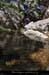 20200725_denavebasse30