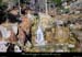 20001216_tanargue_boisdescoufour_ruisseau