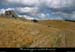 20070819_tanargue_redonde1