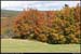 20051009_colchavade