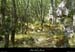 20120820_chandolas_combedegondive02