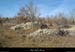 20130217_chandolas_capitellesdesbaumelles