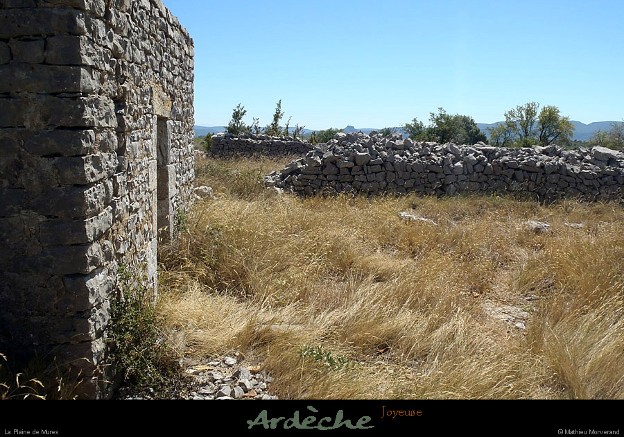 20120817_joyeuse_plainedemures3