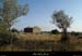 20120908_joyeuse_plainedemures_ruine1