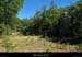20120817_lablachere_boisdefontgraze