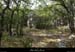 20120820_lablachere_boisdefontgraze2