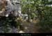 20120820_lablachere_boisdefontgraze5