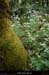 20170506_boisfontgraze1