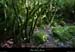 20180508_boisblachere03