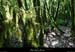20180508_boisblachere05