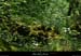 20180508_boisblachere08