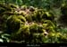 20180508_boisblachere09