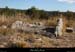 20171008_rancguilhaumet_tombegeant1