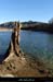 20160221_confluencechassezacardeche6