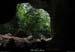 20130508_baumescure_sortiew06