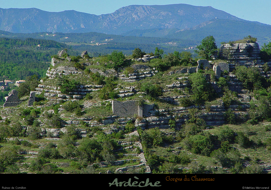 20030503_chamducrosdeboisdepaïolive_2
