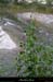 20130508_rdavrancdefroment2