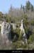20090322_labeaumefalaiselespuechs