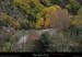 20191123_li1218b