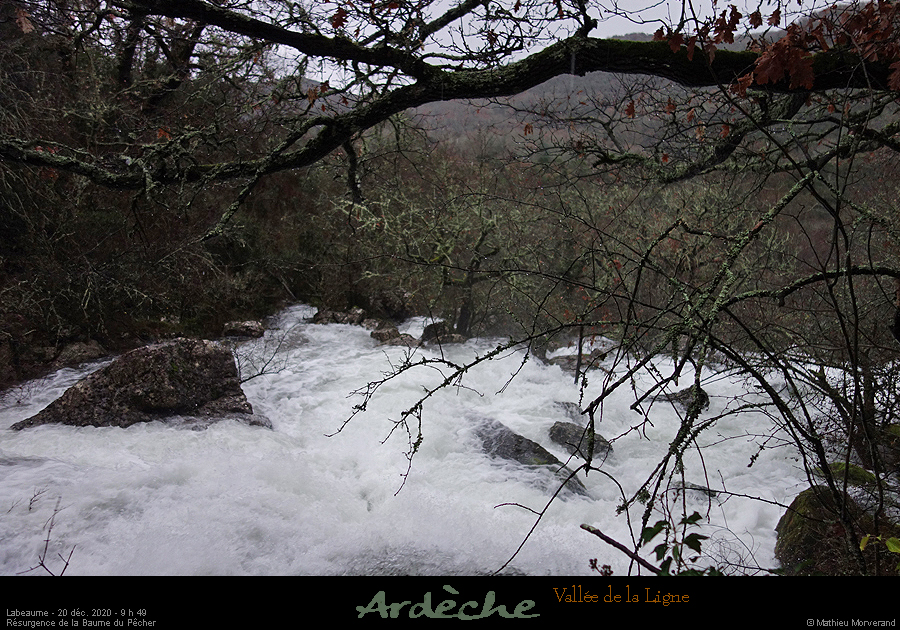 20201220_0949c