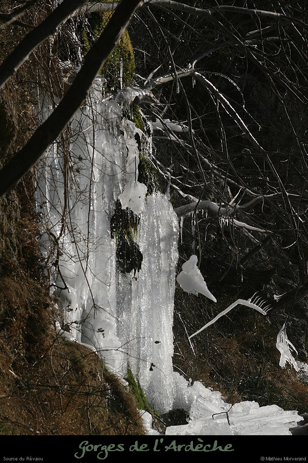 20120210_revaousource01