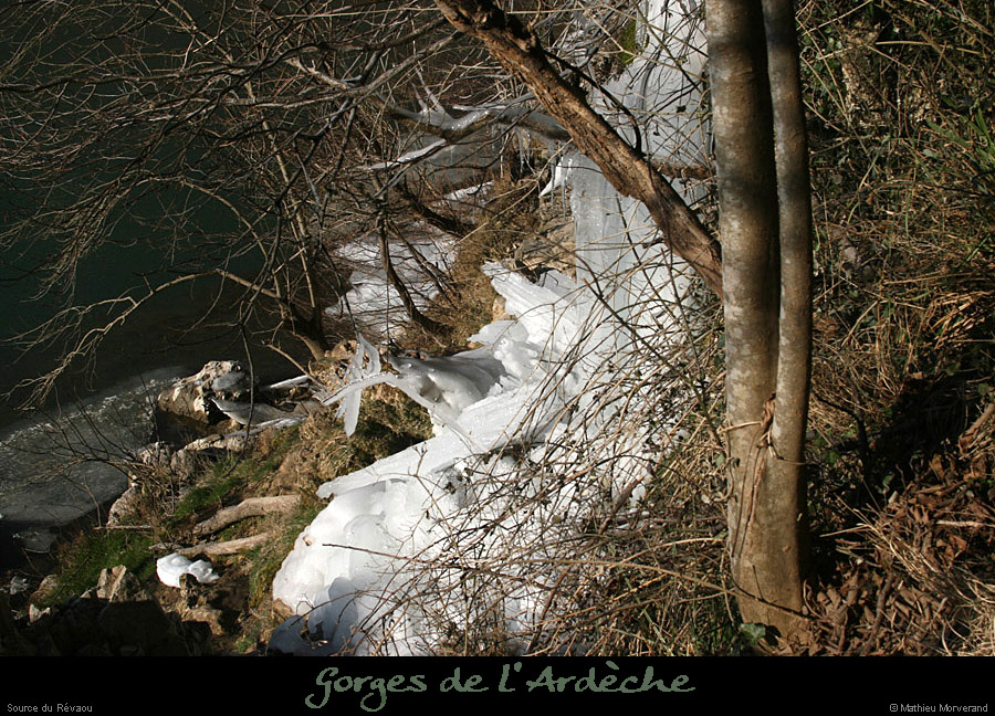 20120210_revaousource03