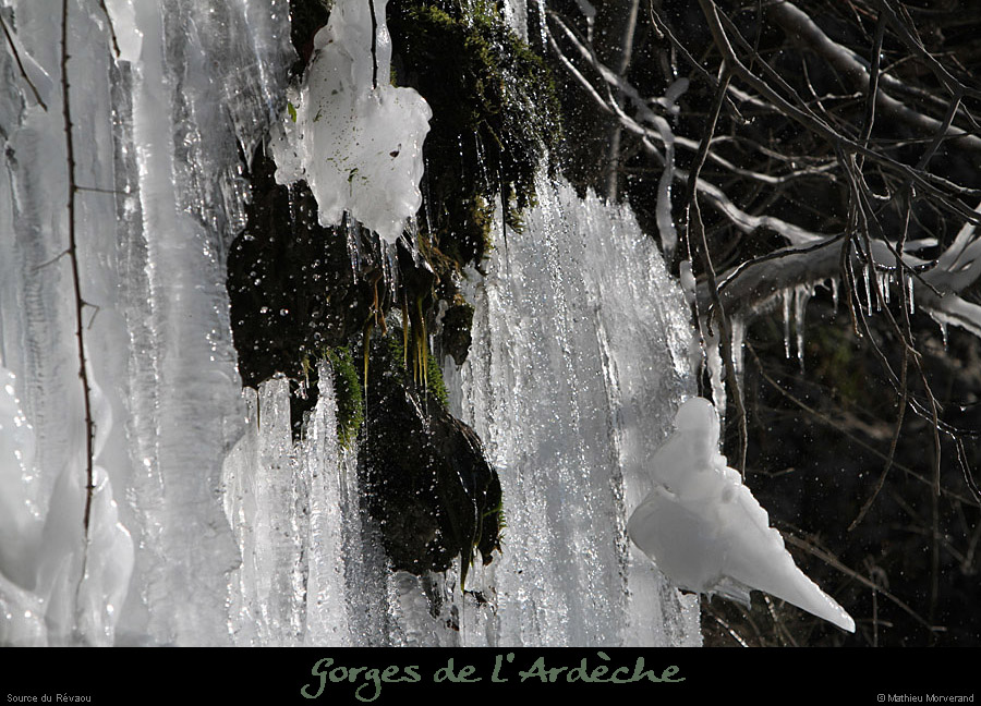 20120210_revaousource05