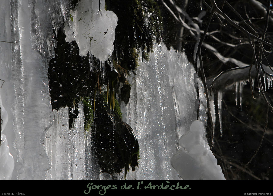 20120210_revaousource06