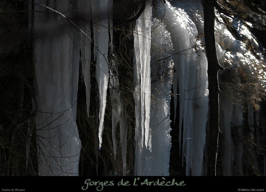 20120210_revaousource08