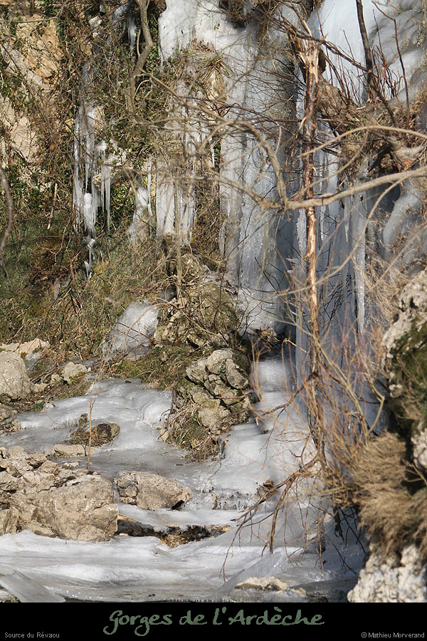 20120210_revaousource10