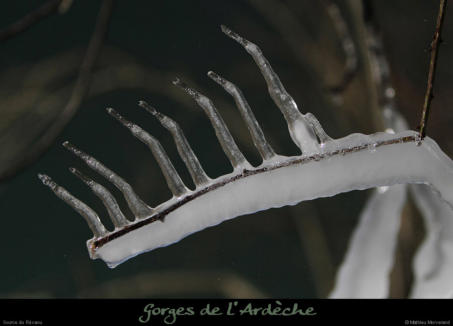 20120210_revaousource14
