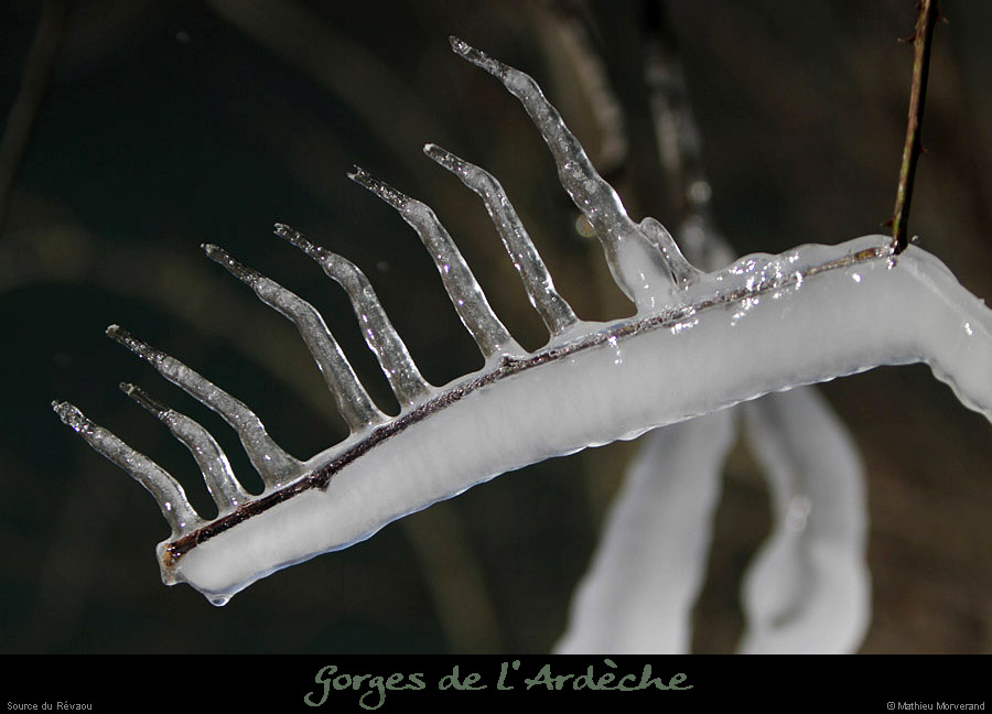 20120210_revaousource15