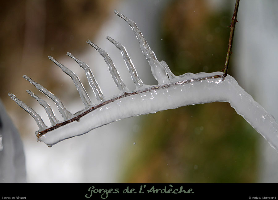 20120210_revaousource17