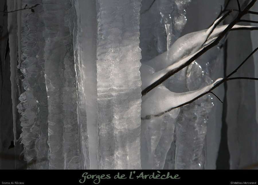 20120210_revaousource20