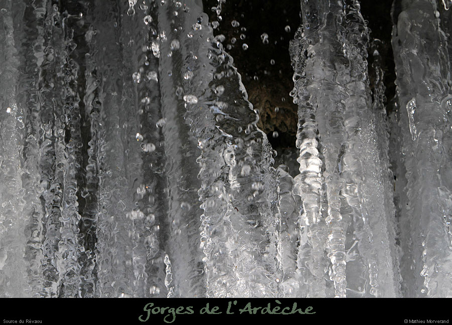 20120210_revaousource23