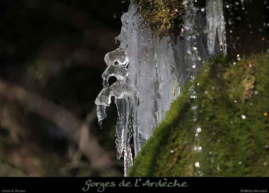 20120210_revaousource30