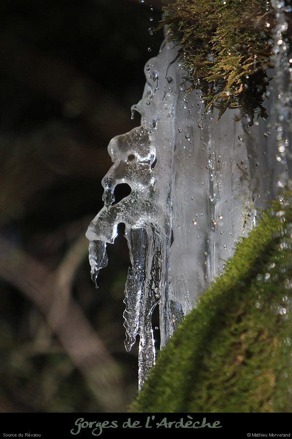 20120210_revaousource31