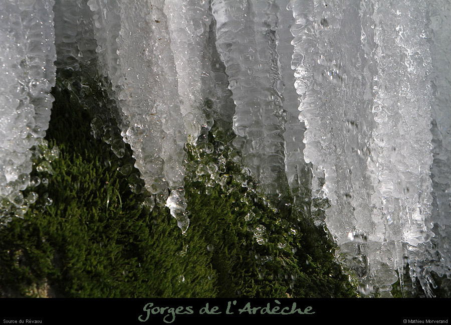 20120210_revaousource35