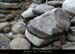 20120205_amptdarc_rochersgeles2