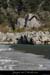20120210_gorgesardeche_gaud_rivieregelee07