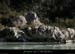 20120210_gorgesardeche_gaud_rivieregelee20