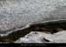 20120210_gorgesardeche_gaud_rivieregeleedetails02
