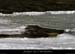 20120210_gorgesardeche_gaud_rivieregeleedetails06