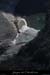 20120210_gorgesardeche_platane3