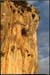 20050825_autridge54