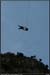 20050825_autridge58